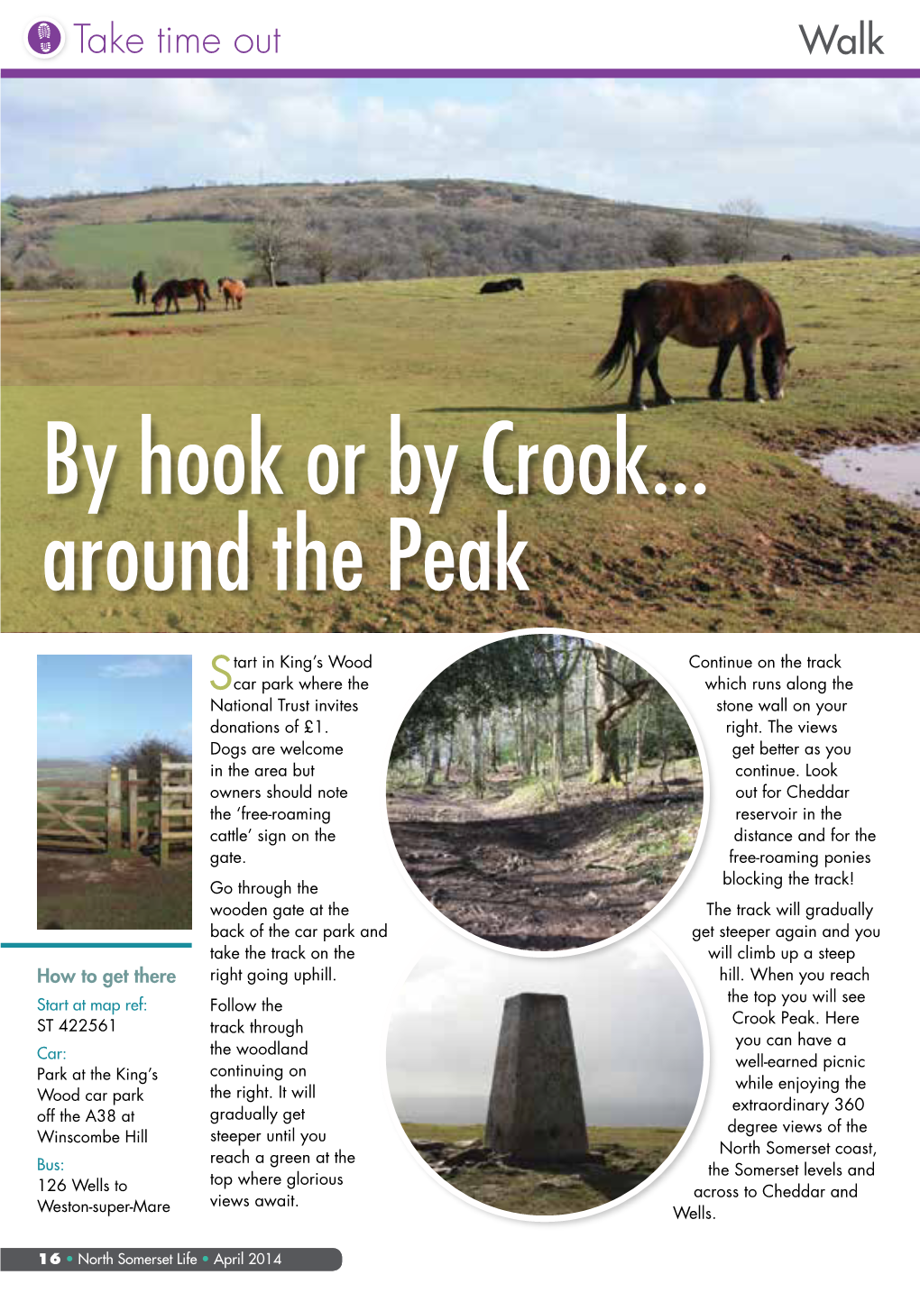 By Hook Or by Crook…Around the Peak