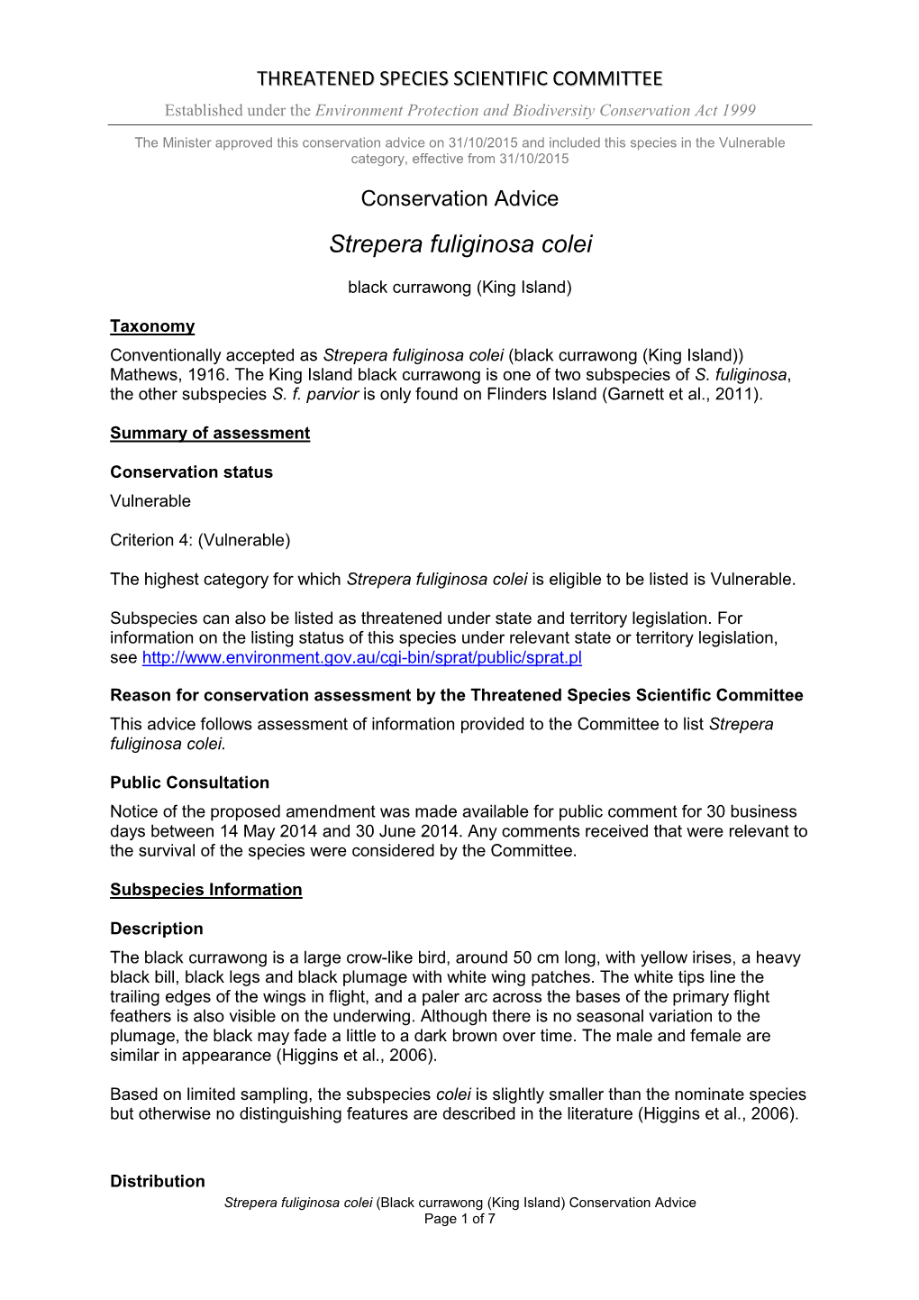 Conservation Advice Strepera Fuliginosa Colei (Black Currawong (King Island))