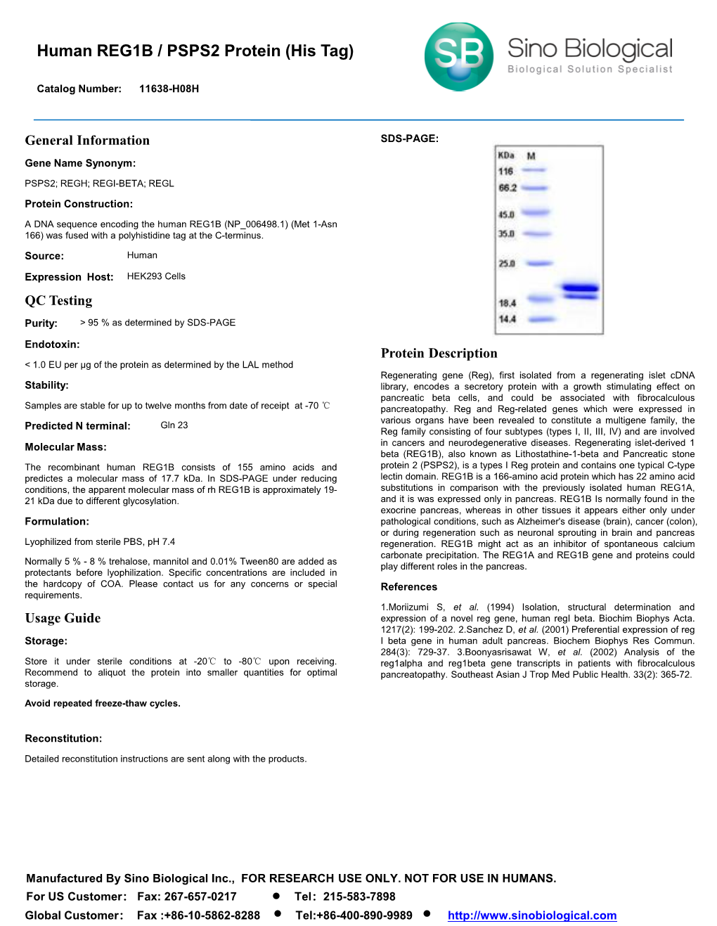 Human REG1B / PSPS2 Protein (His Tag)