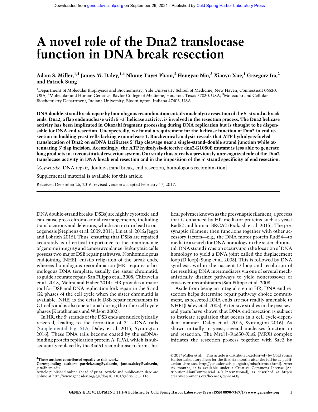 A Novel Role of the Dna2 Translocase Function in DNA Break Resection