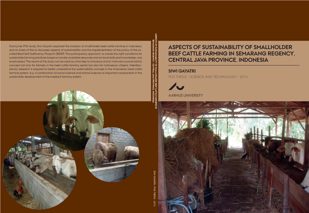 Aspects of Sustainability of Smallholder Beef Cattle