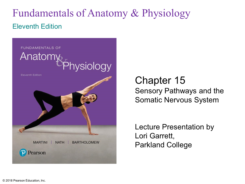 Sensory Pathways and the Somatic Nervous System