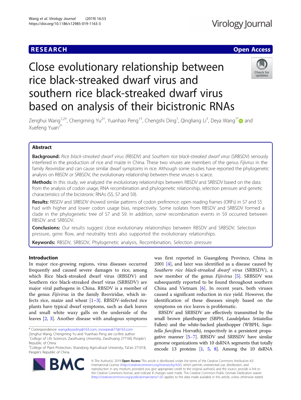 Close Evolutionary Relationship Between Rice Black-Streaked Dwarf