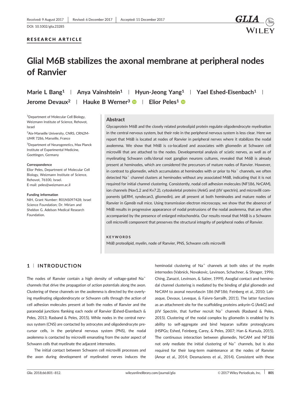 Glial M6B Stabilizes the Axonal Membrane at Peripheral Nodes of Ranvier