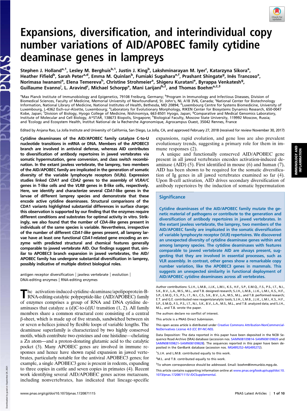 Expansions, Diversification, and Interindividual Copy Number