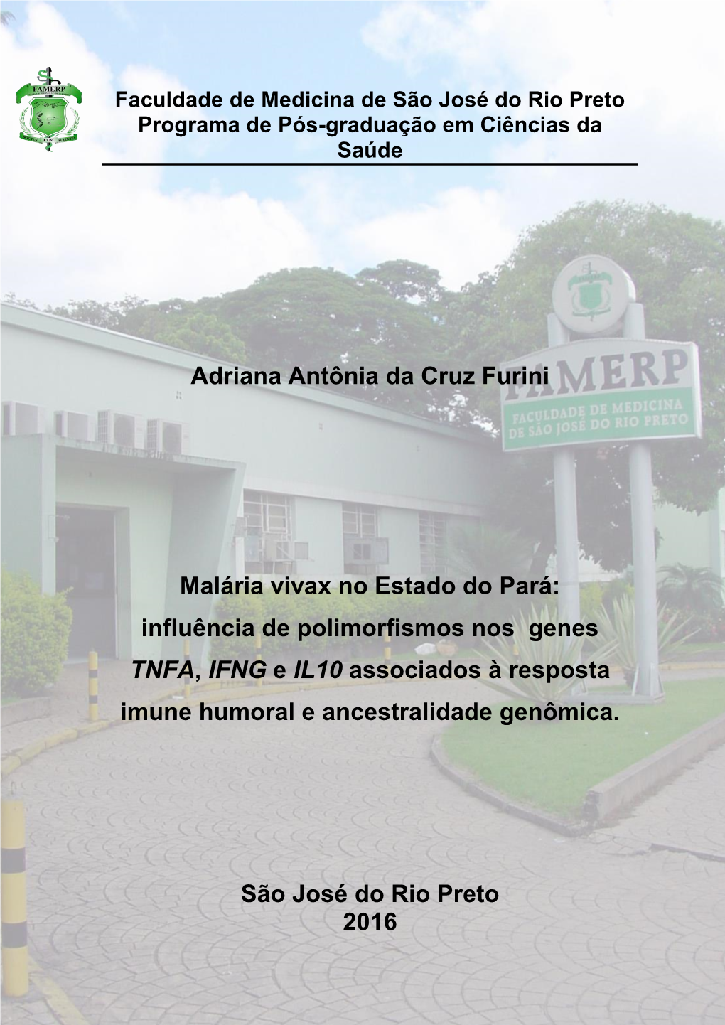 Adriana Antônia Da Cruz Furini Malária Vivax No Estado