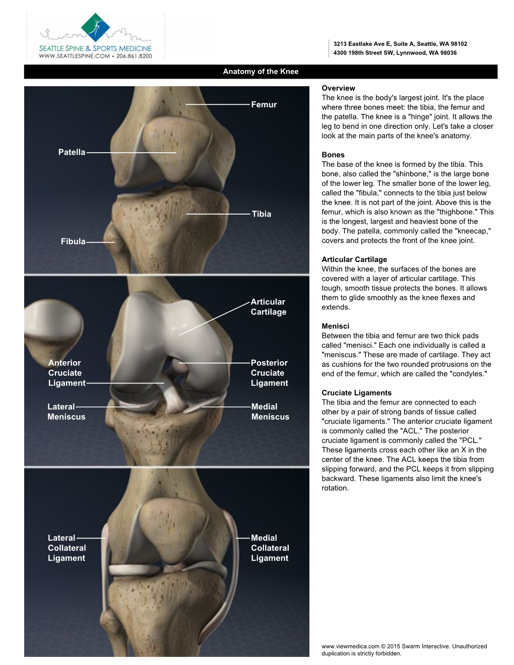 Femur Tibia Fibula Patella Lateral Meniscus Medial Meniscus Anterior