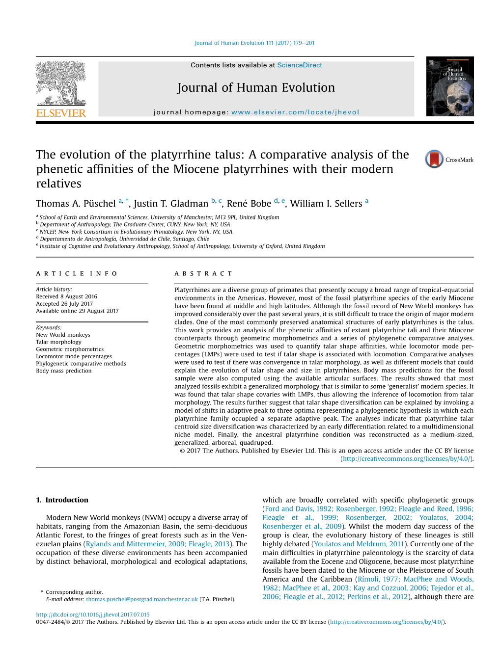 The Evolution of the Platyrrhine Talus: a Comparative Analysis of the Phenetic Afﬁnities of the Miocene Platyrrhines with Their Modern Relatives