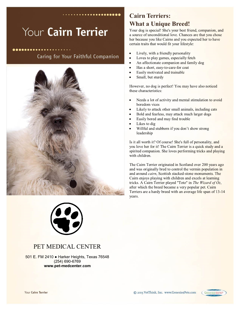 Cairn Terriers: What a Unique Breed! PET MEDICAL CENTER