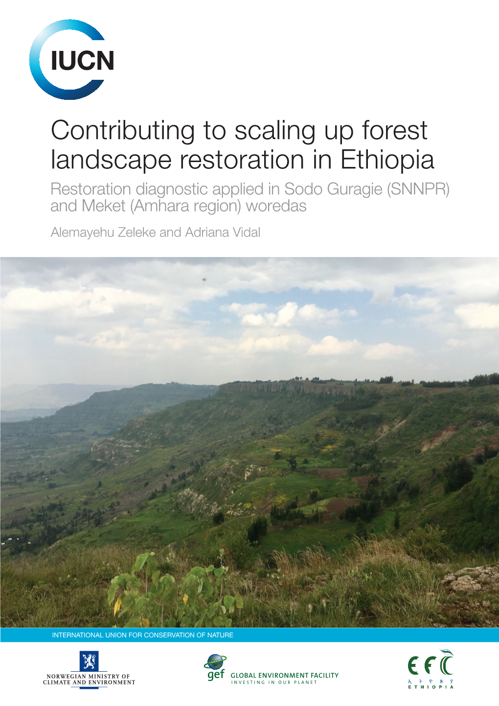 Contributing to Scaling up Forest Landscape Restoration in Ethiopia