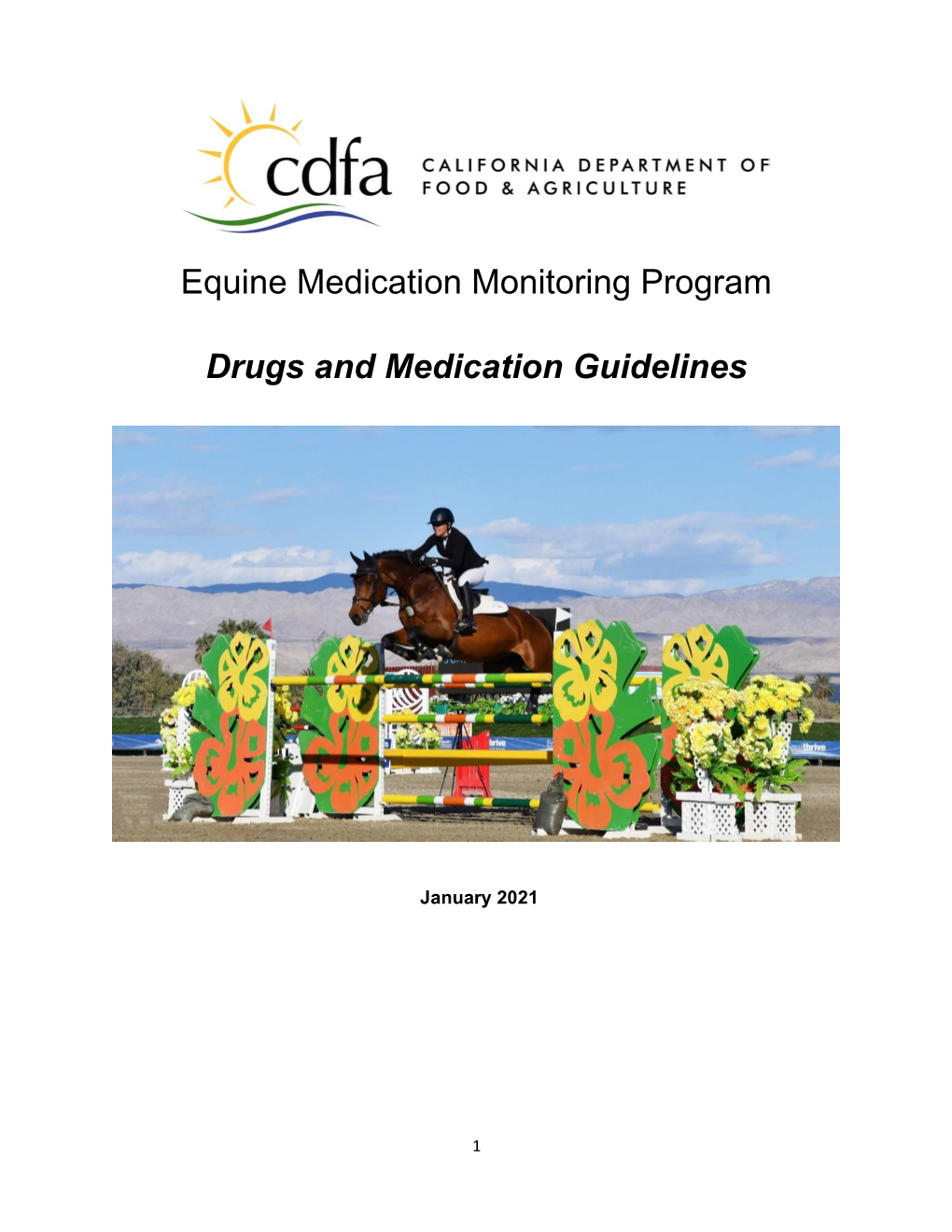 Drugs and Medication Guidelines Brochure