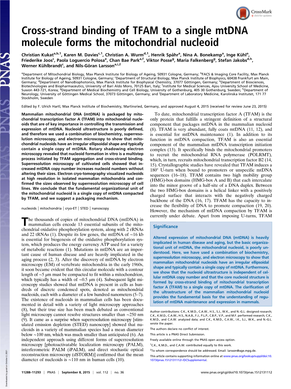 Cross-Strand Binding of TFAM to a Single Mtdna Molecule Forms the Mitochondrial Nucleoid