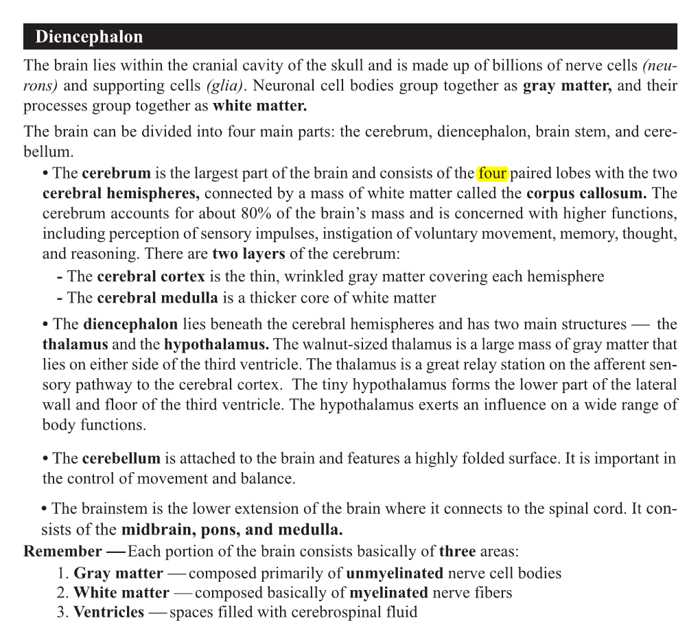 Diencephalon Sists of the Midbrain, Pons, and Medulla