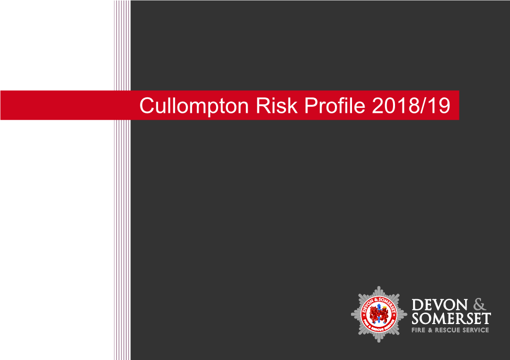 Cullompton Risk Profile 2018/19 Cullompton Risk Profile 2018/19 2