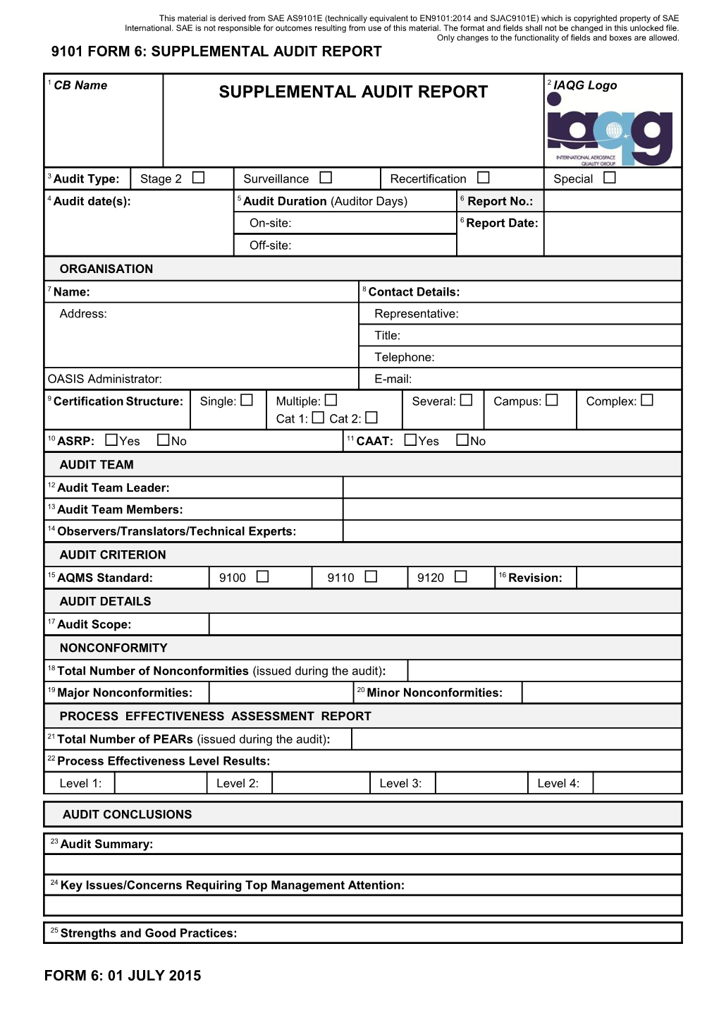 9101 Form 6: Supplemental Audit Report