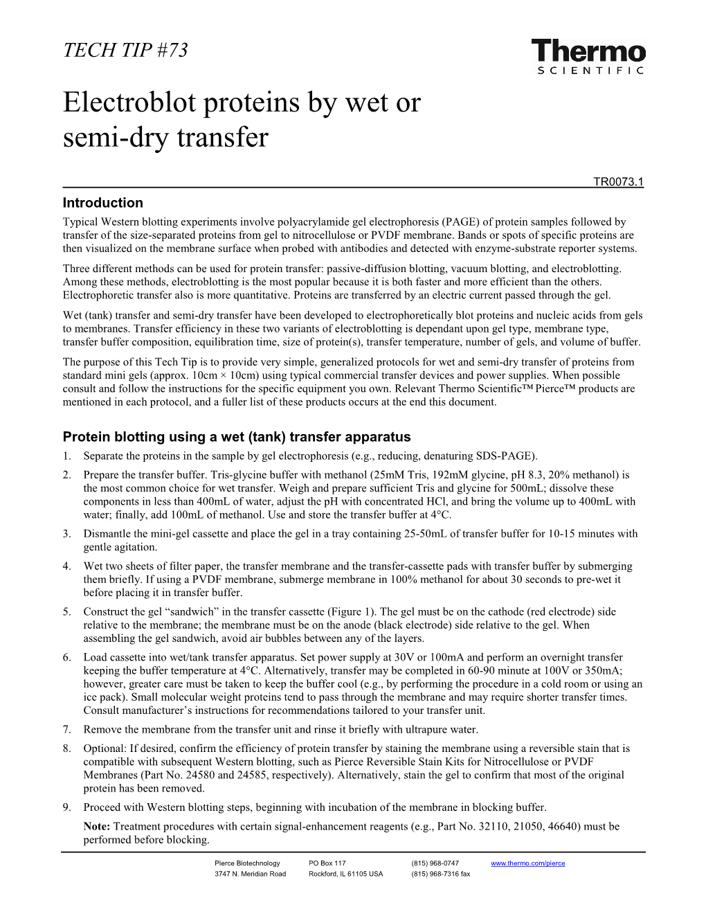 Electroblot Proteins by Wet Or Semi-Dry Transfer