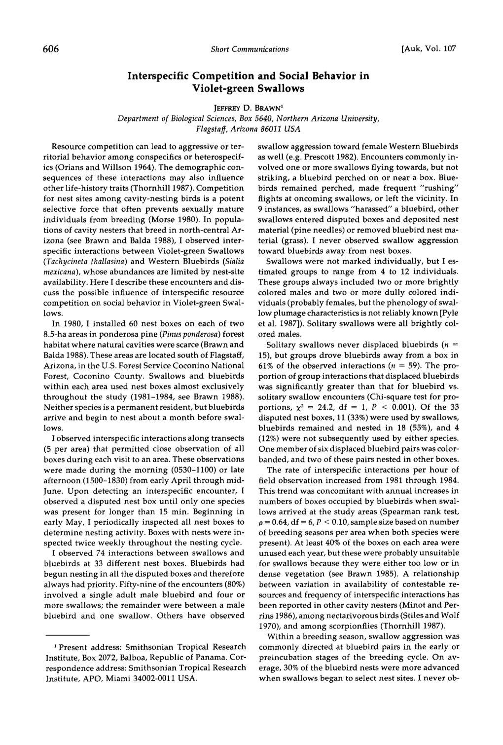 Interspecific Competition and Social Behavior in Violet-Green Swallows