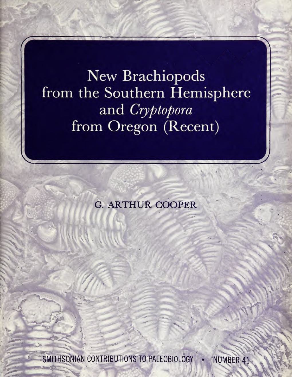 New Brachiopods from the Southern Hemisphere and Cryptopora from Oregon (Recent)