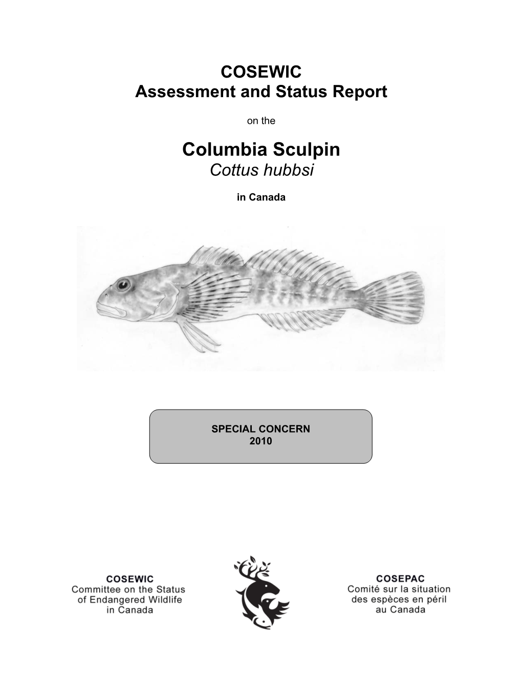 Columbia Sculpin (Cottus Hubbsi) Is a Small, Freshwater Sculpin (Cottidae)