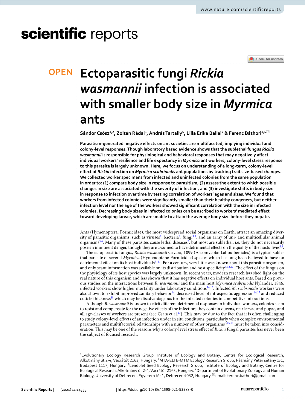 Ectoparasitic Fungi Rickia Wasmannii Infection Is Associated with Smaller