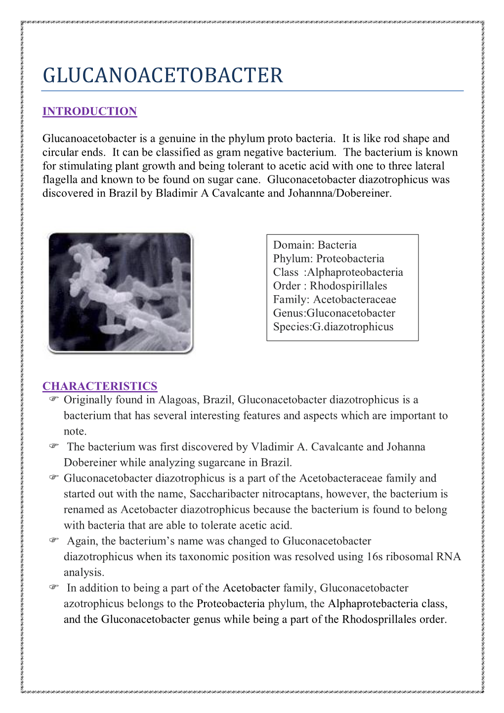 Glucanoacetobacter