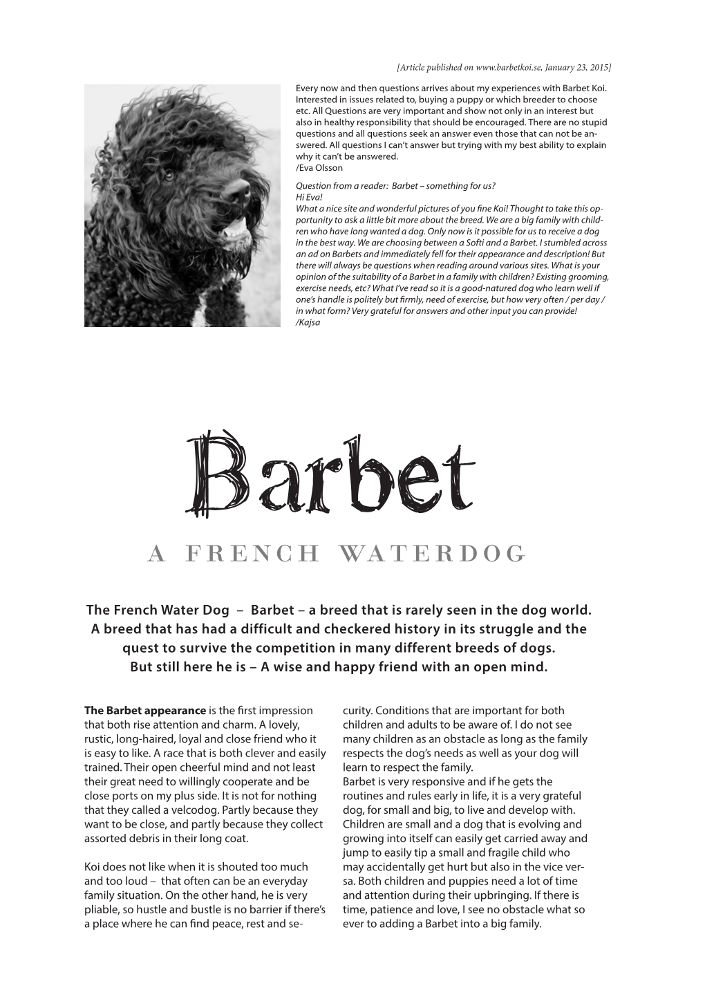 The French Water Dog – Barbet – a Breed That Is Rarely Seen in the Dog World