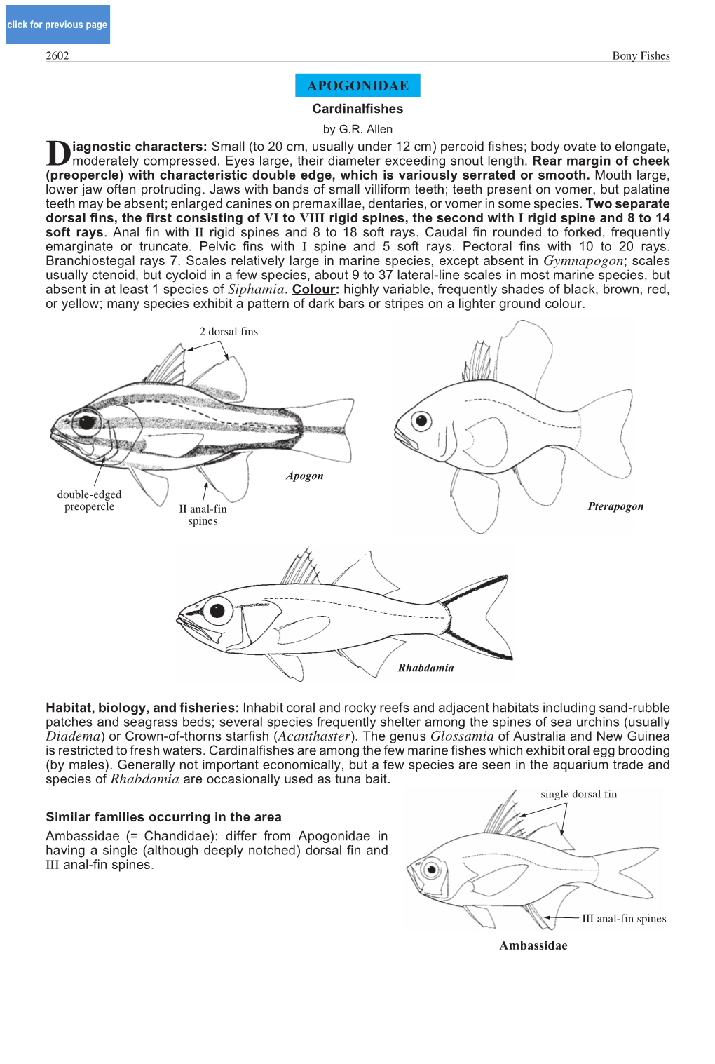 APOGONIDAE Cardinalfishes by G.R