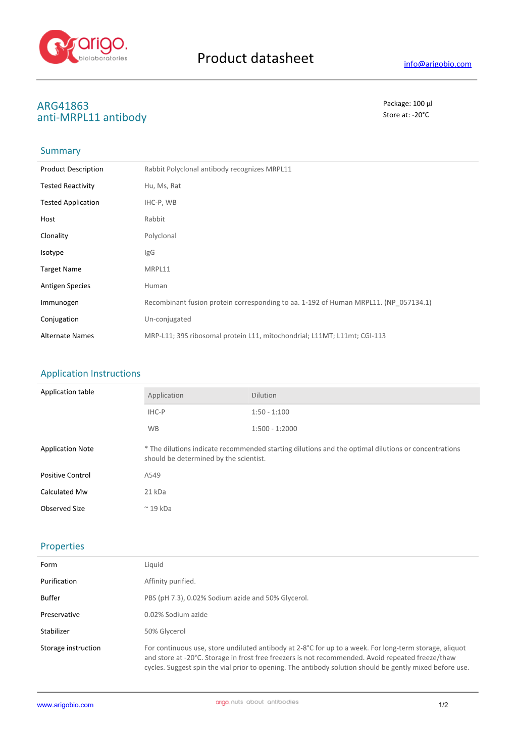 Anti-MRPL11 Antibody (ARG41863)