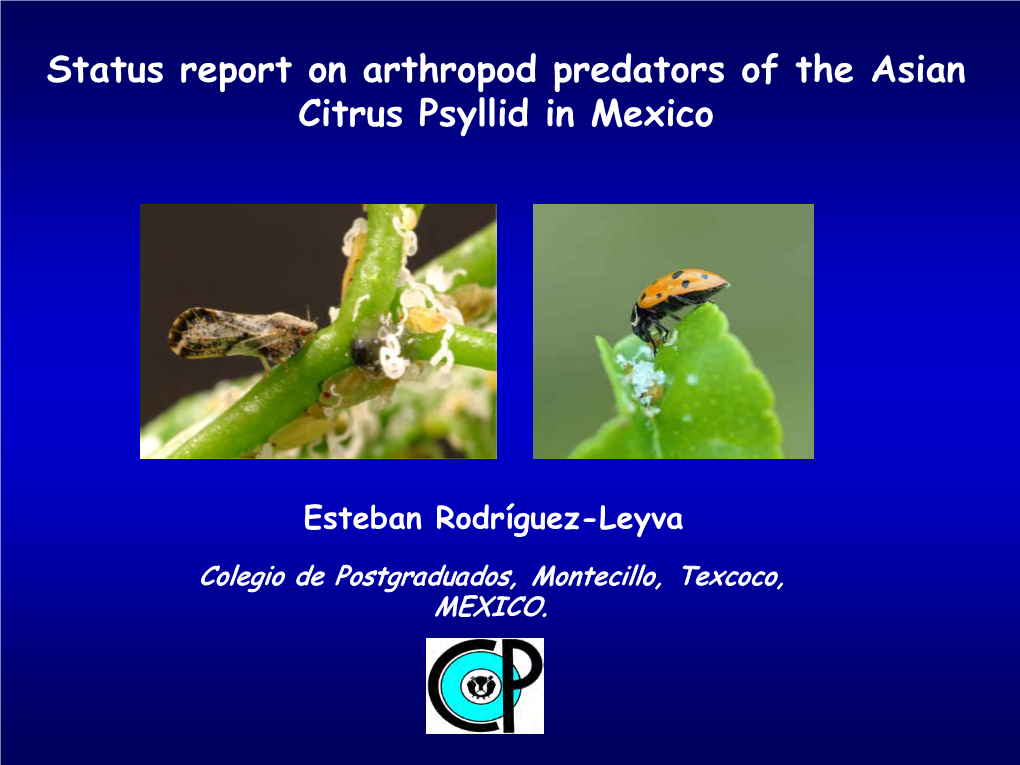 Status Report on Arthropod Predators of the Asian Citrus Psyllid in Mexico