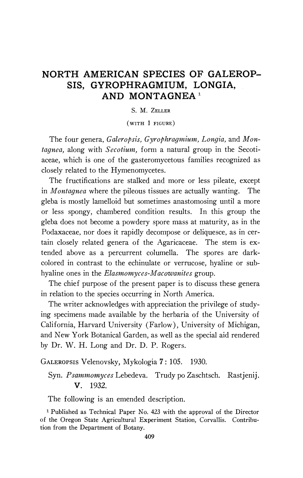 North American Species of Galerop- Sis, Gyrophragmium, Longia, and Montagnea '