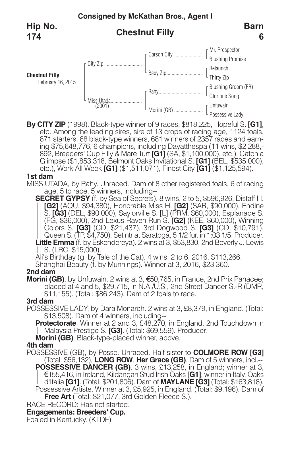 Chestnut Filly Barn 6 Hip No