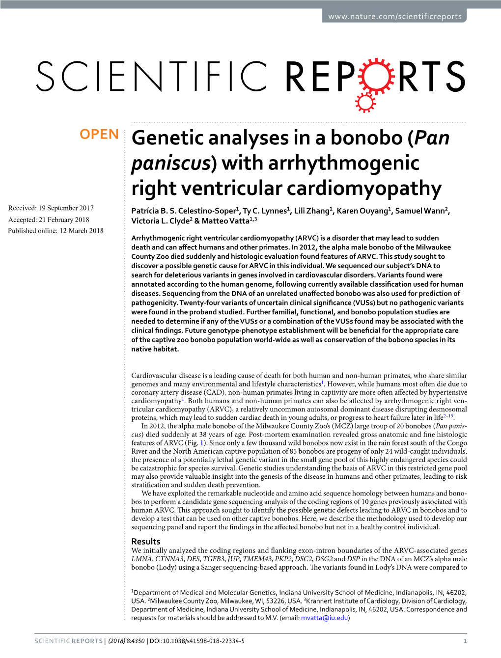 Genetic Analyses in a Bonobo (Pan Paniscus) with Arrhythmogenic Right Ventricular Cardiomyopathy Received: 19 September 2017 Patrícia B