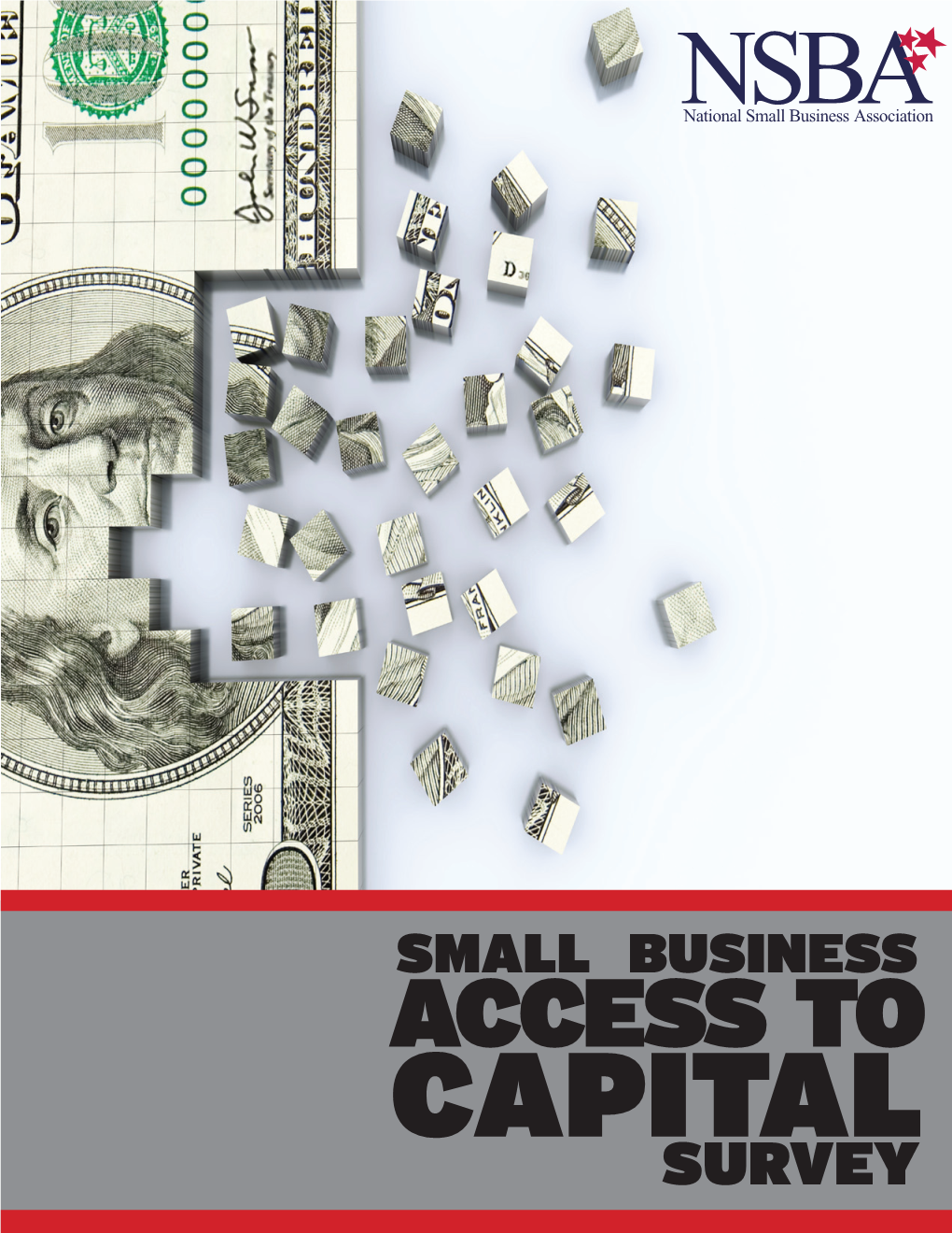 Small Business Access to Capital Survey Foreword