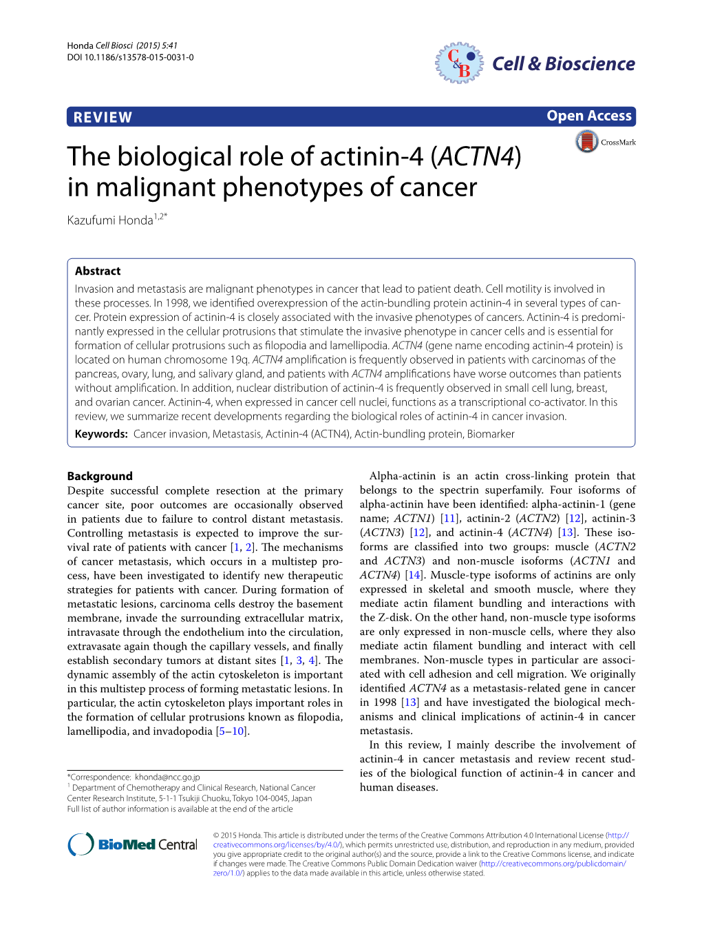 The Biological Role of Actinin-4 (ACTN4)