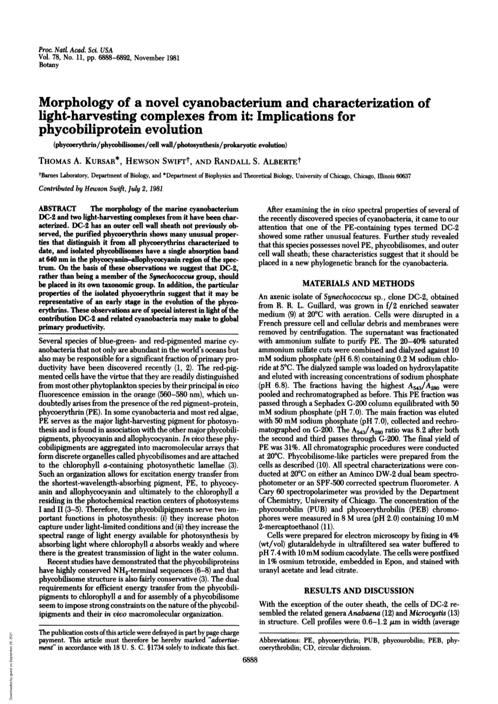 Phycobiliprotein Evolution (Phycoerythrin/Phycobilisomes/Cell Wall/Photosynthesis/Prokaryotic Evolution) THOMAS A