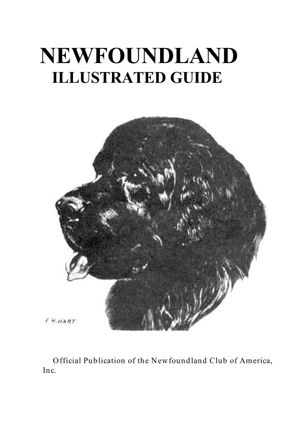 Newfoundland Illustrated Guide