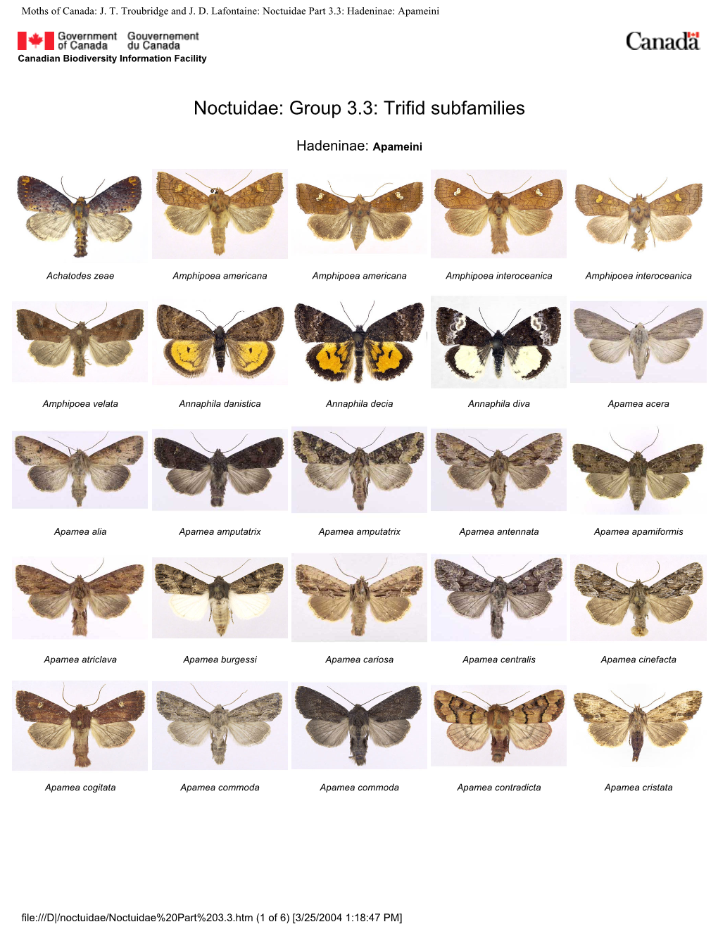 JT Troubridge and JD Lafontaine: Noctuidae Part 3.3: Hadeninae