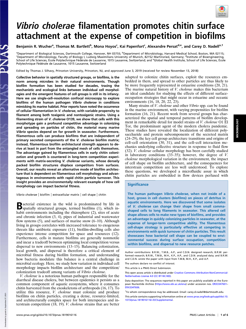 Vibrio Cholerae Filamentation Promotes Chitin Surface Attachment at the Expense of Competition in Biofilms