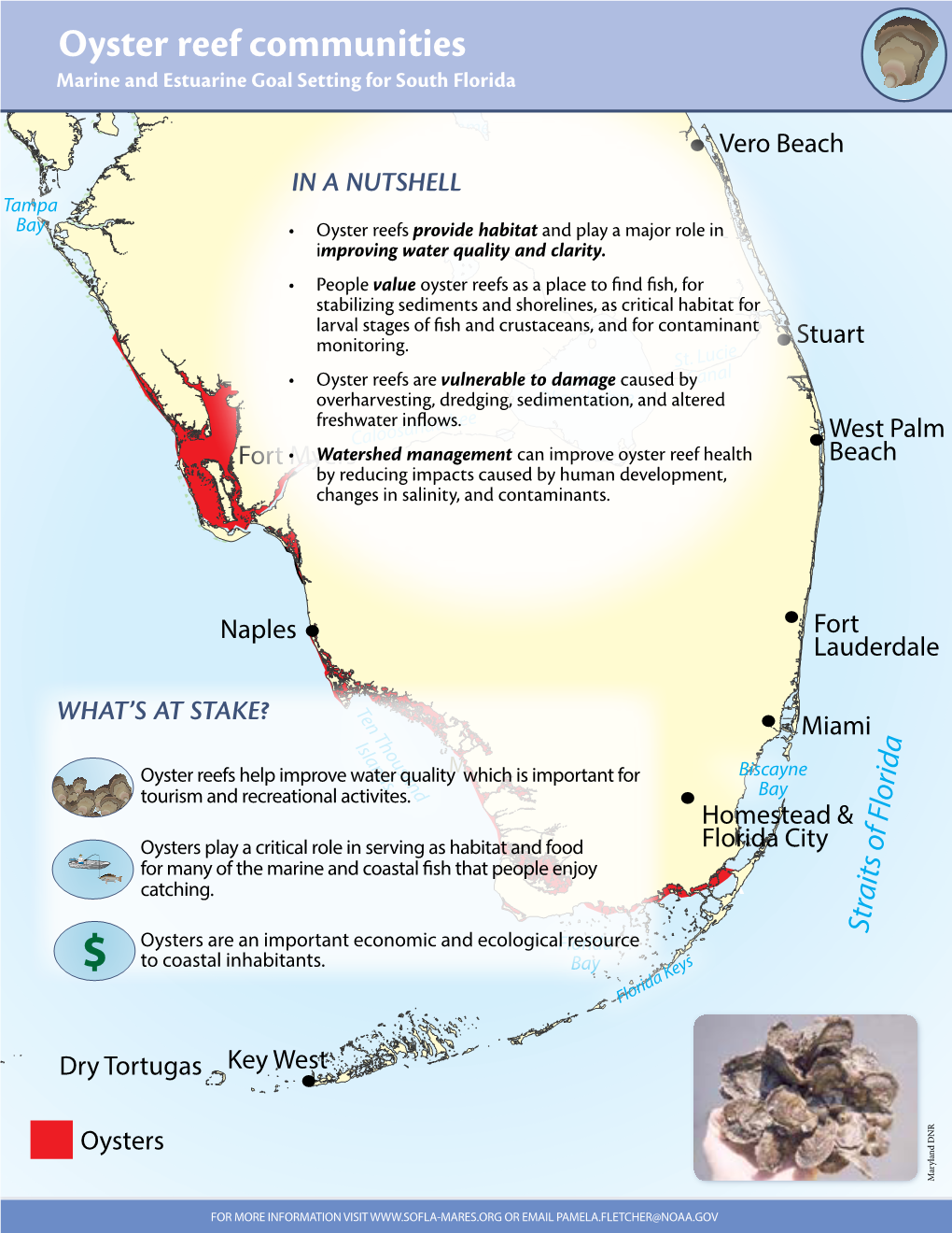 Oyster Reef Communities