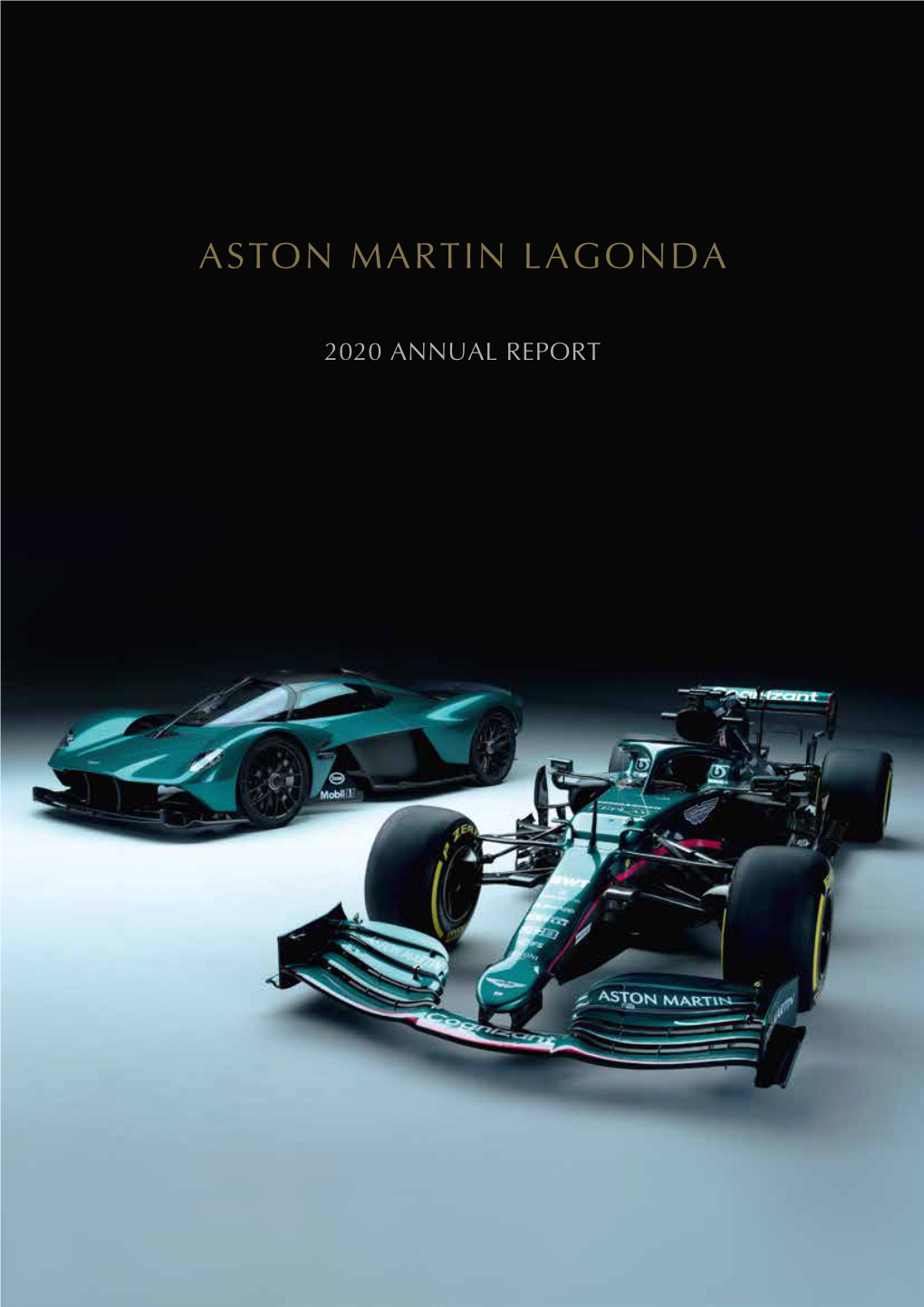 2020 Annual Report Contents