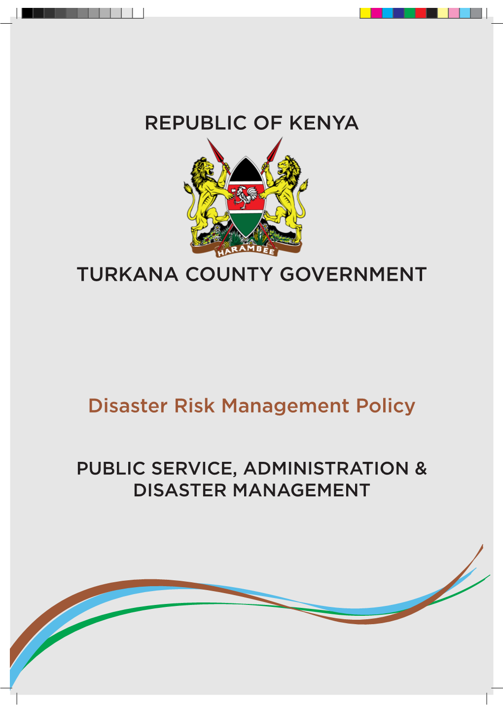 Disaster Risk Management Policy