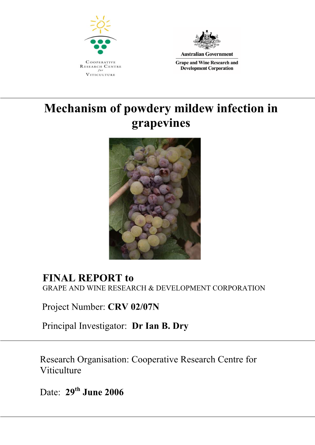 Mechanism of Powdery Mildew Infection in Grapevines