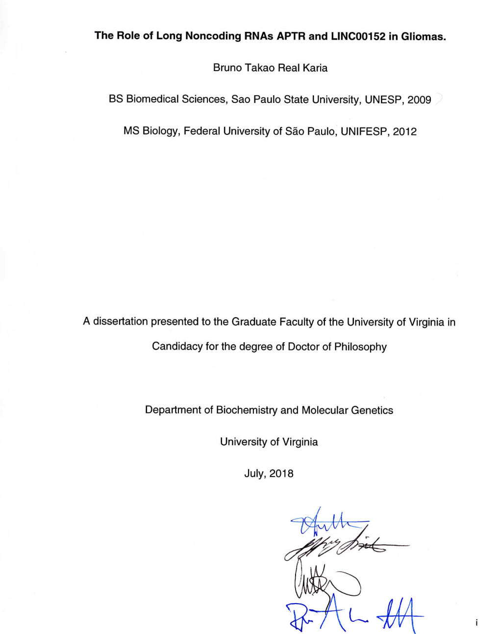 Gene Ontology – Biological Process