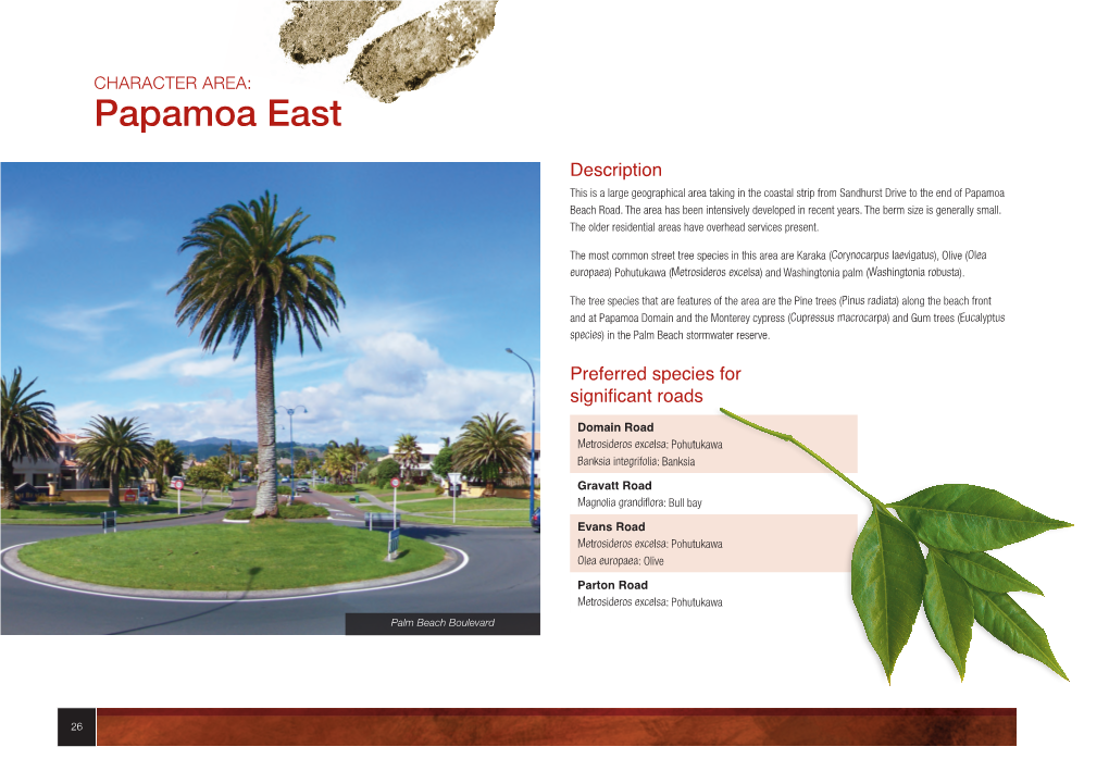 PLANTING GUIDE - STREET TREES 27 CHARACTER AREA: Papamoa West