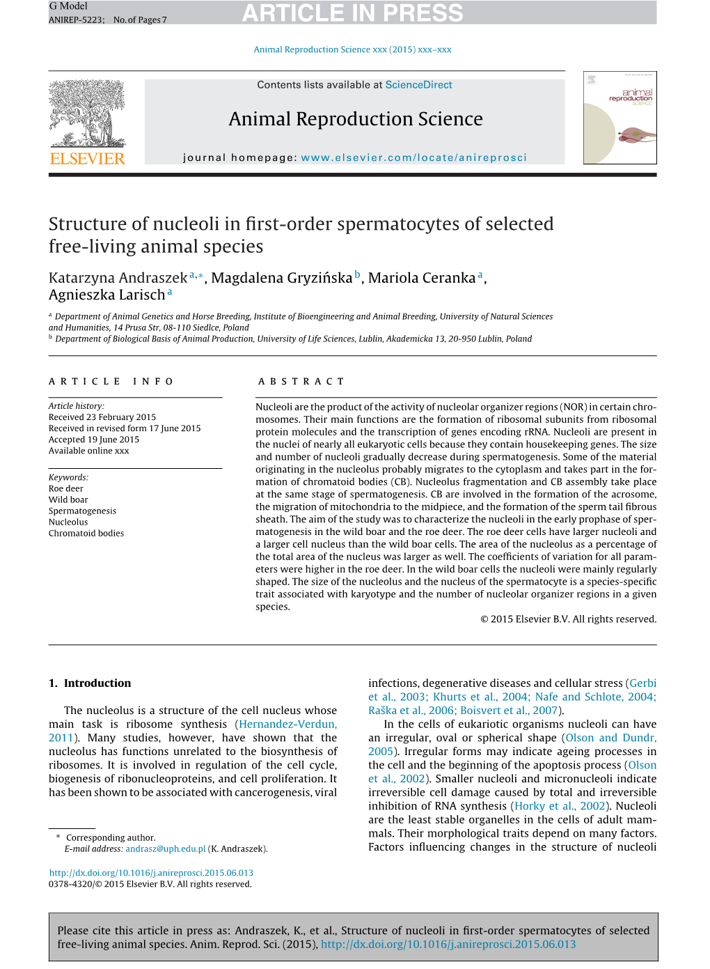 Structure of Nucleoli in First-Order Spermatocytes of Selected Free