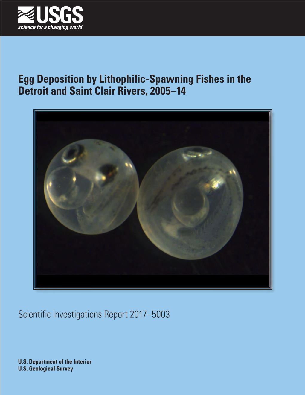Egg Deposition by Lithophilic-Spawning Fishes in the Detroit and Saint Clair Rivers, 2005–14
