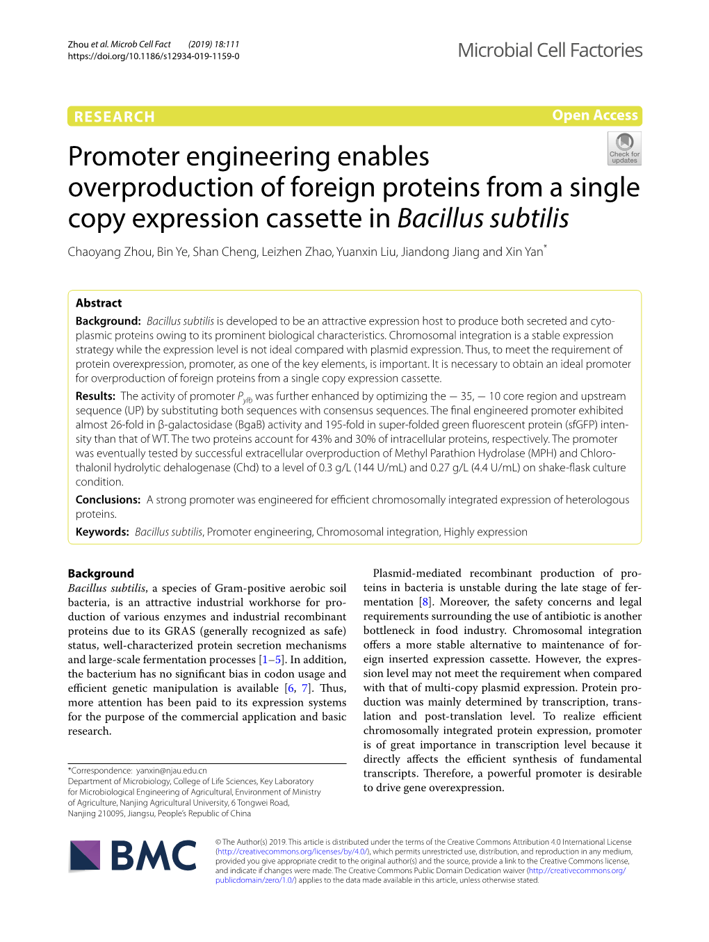 Promoter Engineering Enables Overproduction of Foreign Proteins from a Single Copy Expression Cassette in Bacillus Subtilis