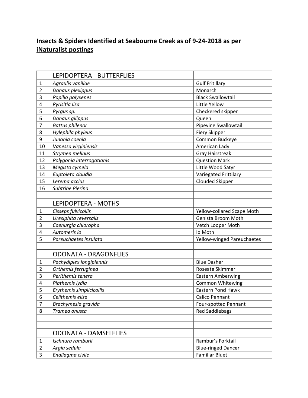 Seabourne Creek Insect and Spider List