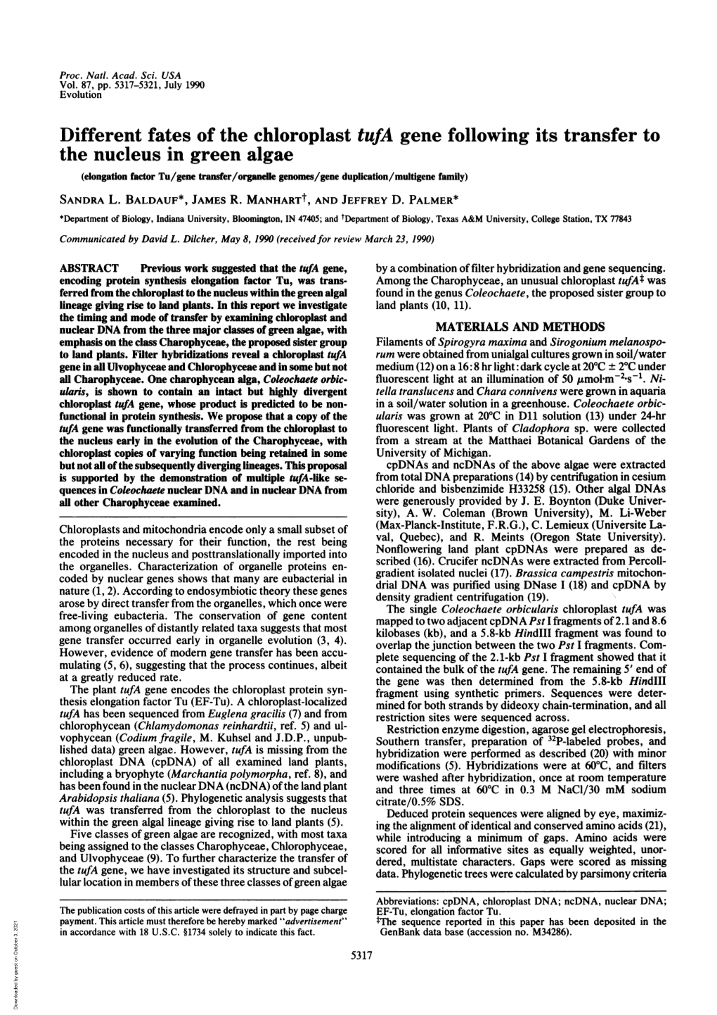 Different Fates of the Chloroplast Tufa Gene Following Its Transfer to the Nucleus in Green Algae