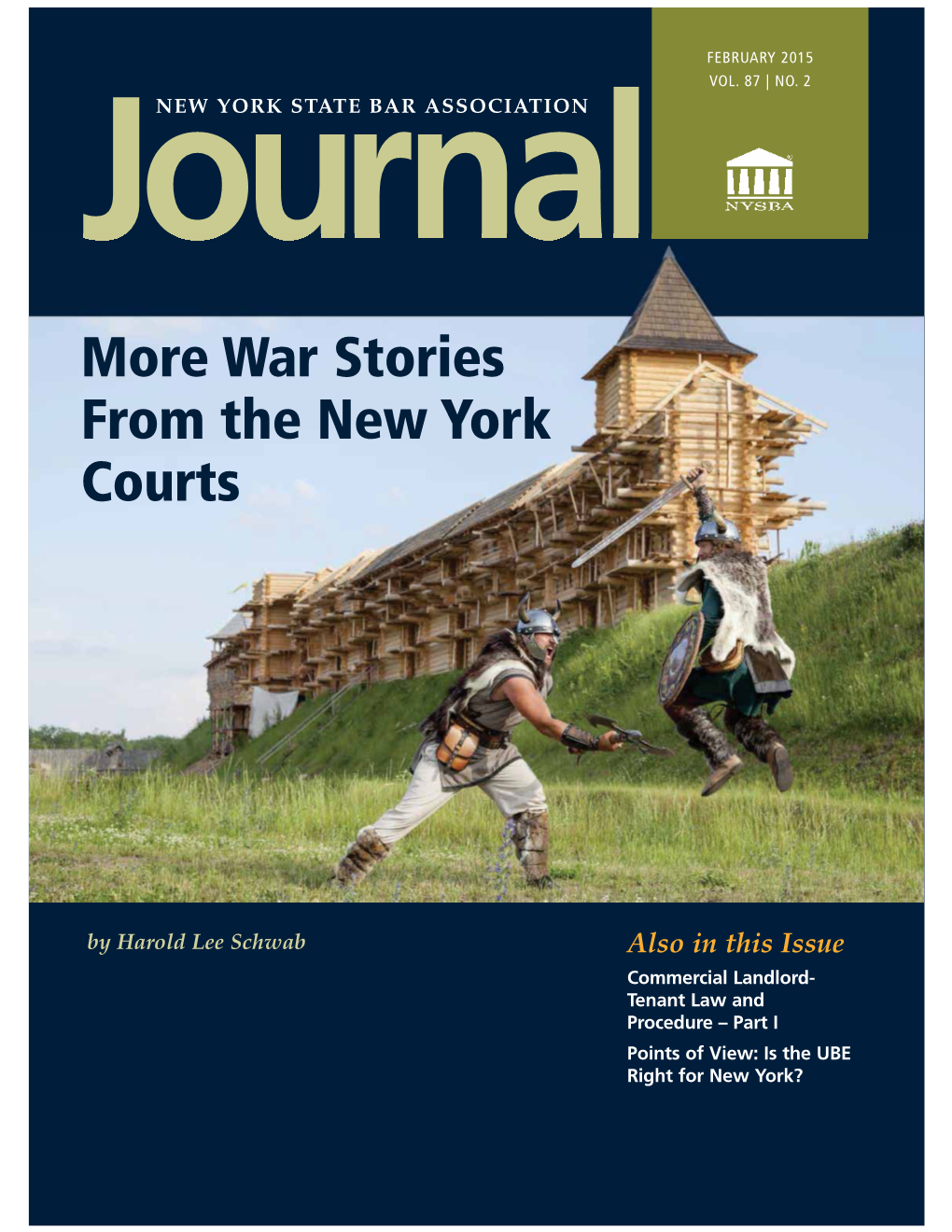 War Stories from the New York Courts